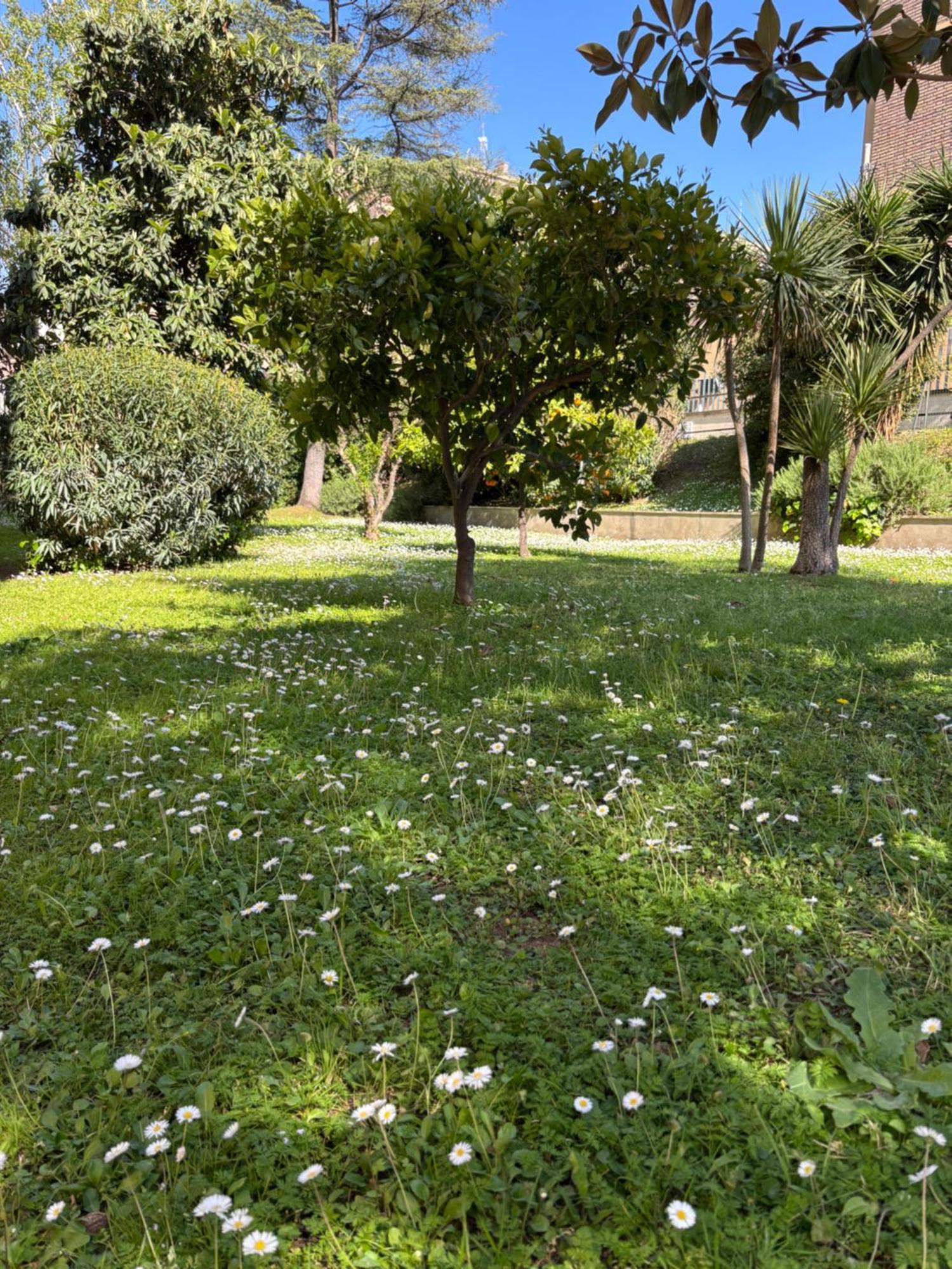 Grelly'S House - Holiday In Rome - 50 Meters From The Metro Exterior photo